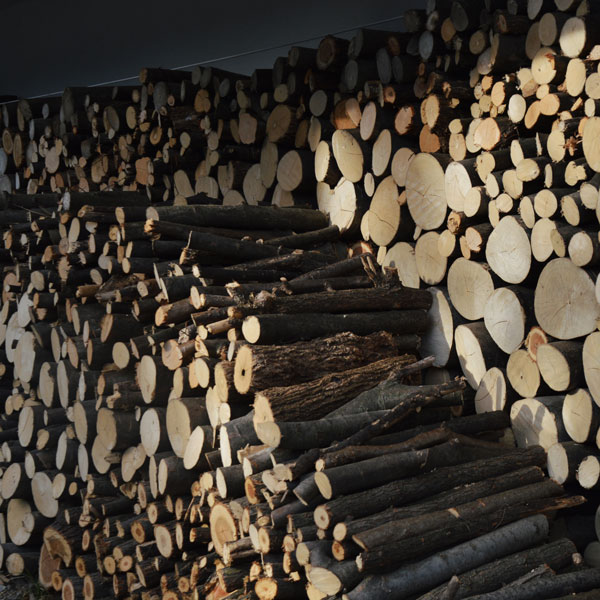 riscaldamento legna catasta ristrutturazione Condove 