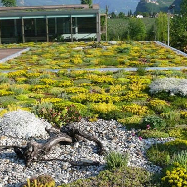 Giardino pensile tetto verde estensivo vegetazione progetto sostenibile ahora architettura 