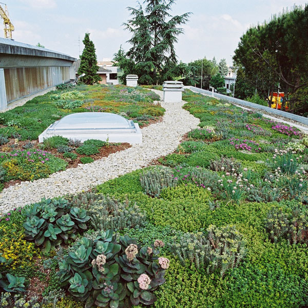 Tetto verde estensivo progettazione sostenibile copertura giardino pensile ahora architettura almese