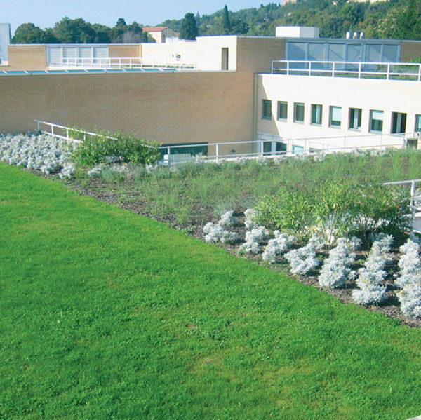 Copertura verde tetto giardino intensivo Ahora architettura almese progetto sostenibile